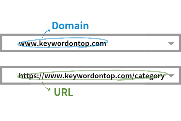 Domain과 URL의 차이점